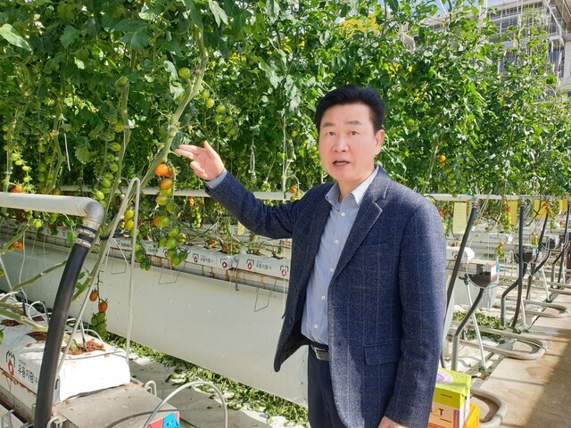 1월30일 충남 부여 규암면 소재 우듬지팜에서 만난 강성민 대표. 유리온실에서 생산되는 토마토의 우수한 품질에 관해 설명하고 있다.