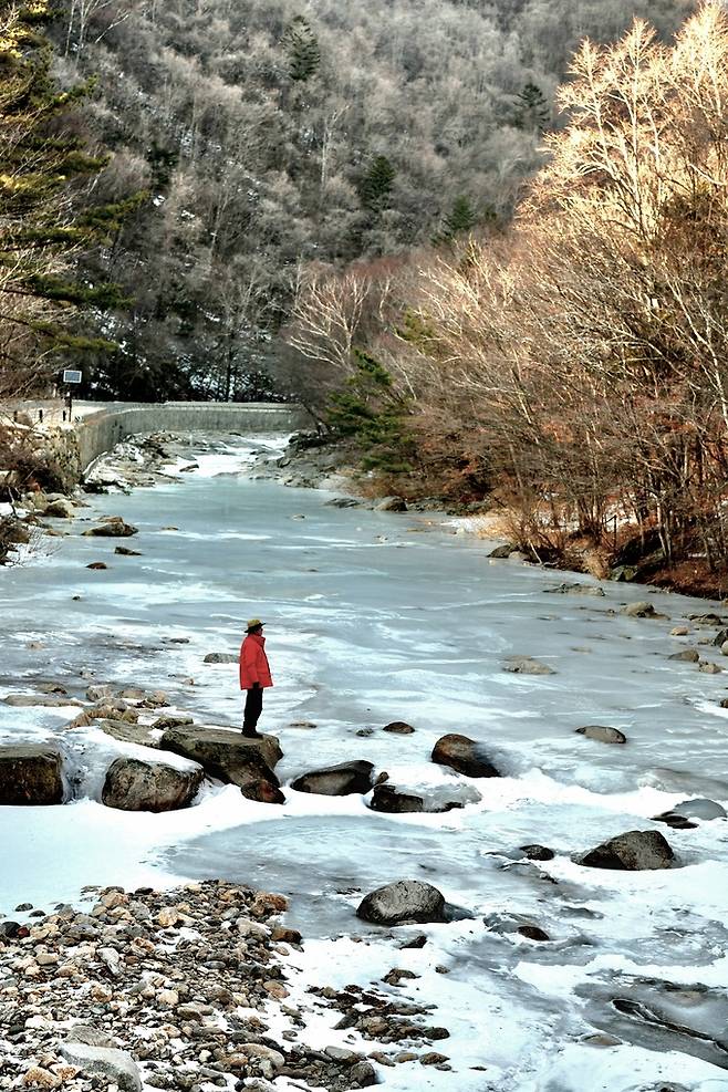 선재길 오대천 징검다리.