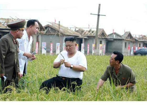 김정은 북한 국무위원장이 지난 2020년 9월 황해북도 은파군 대청리 수해현장을 찾아 침수된 벼를 직접 살펴보며 피해 상황을 점검하고 있다. 평양=노동신문 뉴시스