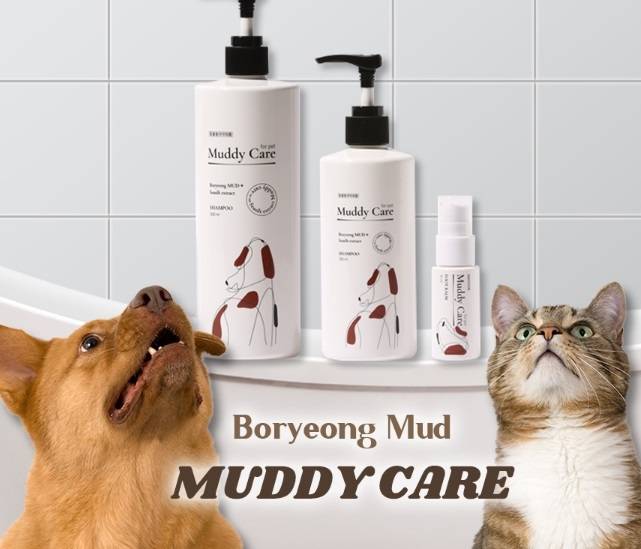 보령 머드를 이용해 만든 반려동물 용품. 보령축제관광재단 쇼핑몰 캡처