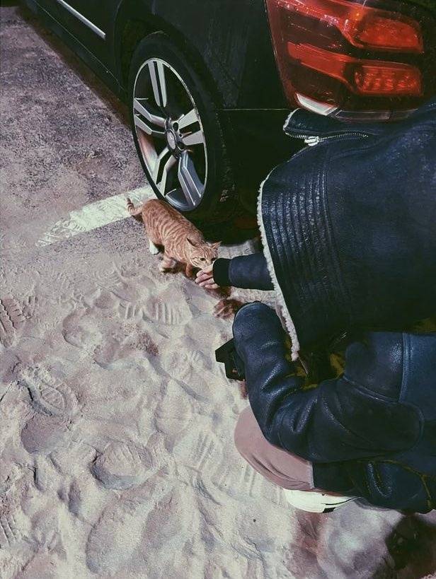 방탄소년단 제이홉 생일 기념 팬들 유기동물 입양 플랫폼 218만원 기부..선한 영향력 실천