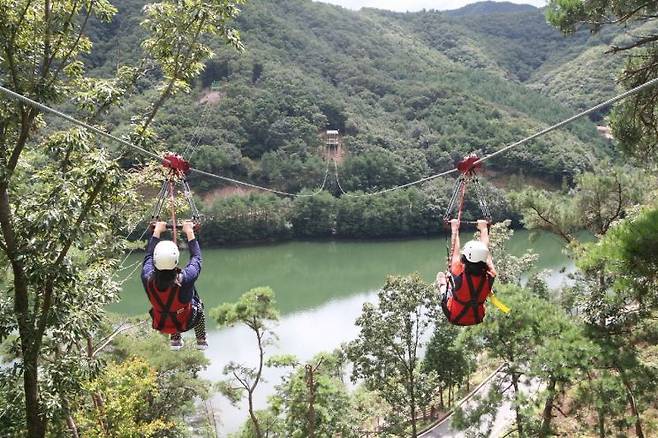 보성군 제암산자연휴양림이 광주 근교에서 빼놓을 수 없는 힐링 여행지로 인기를 끌고 있다.［사진제공=보성군］