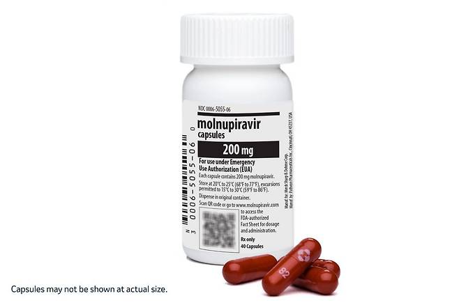미국 머크(MSD) 먹는 신종 코로나바이러스 감염증(코로나19) 치료제 ‘라게브리오’. /머크(MSD)