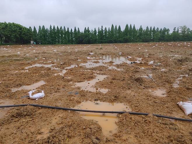 2021년 5월 경기도 화성시 우정읍 주곡리 지정폐기물 매립장 위에 침출수 발생을 막기 위해 비닐과 흙을 덮은 모습. 정해량 제공