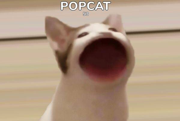 팝캣은 오트밀이라는 고양이의 채터링하는 모습을 그래픽 작업해 만든 밈입니다!