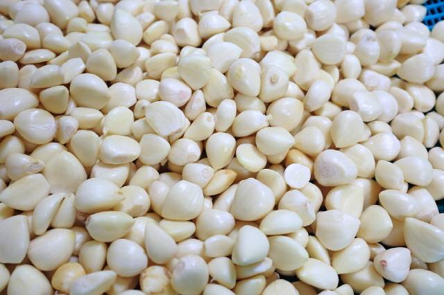 수술 1~2주 전부터는 마늘을 섭취하지 않는 게 안전하다./사진=클립아트코리아