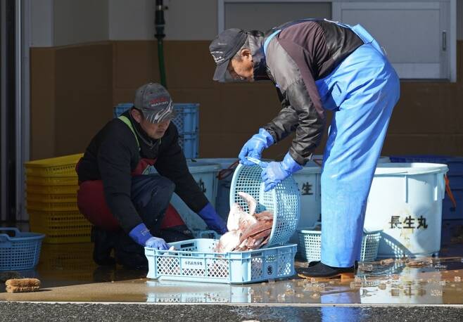 ▲ 후쿠시마에서 물고기 출하 작업 중인 어민들 사진 : 연합뉴스