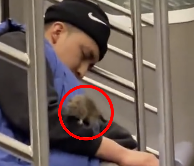 7일 트위터 계정 @Jazzi654 영상 갈무리