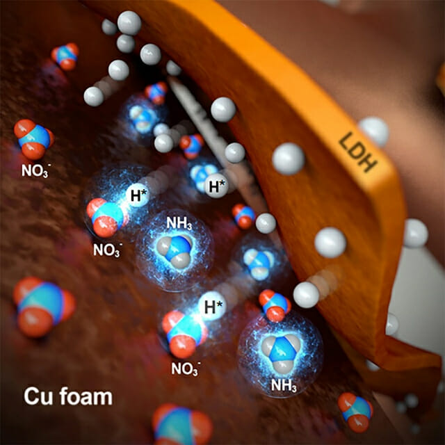 구리 금속 폼(Cu foam)/니켈-철 층상이중수산화물(LDH)을 이용한 질산염(NO₃-)으로부터 암모니아(NH₃)를 생산하는 과정 모식도 (자료=KAIST)
