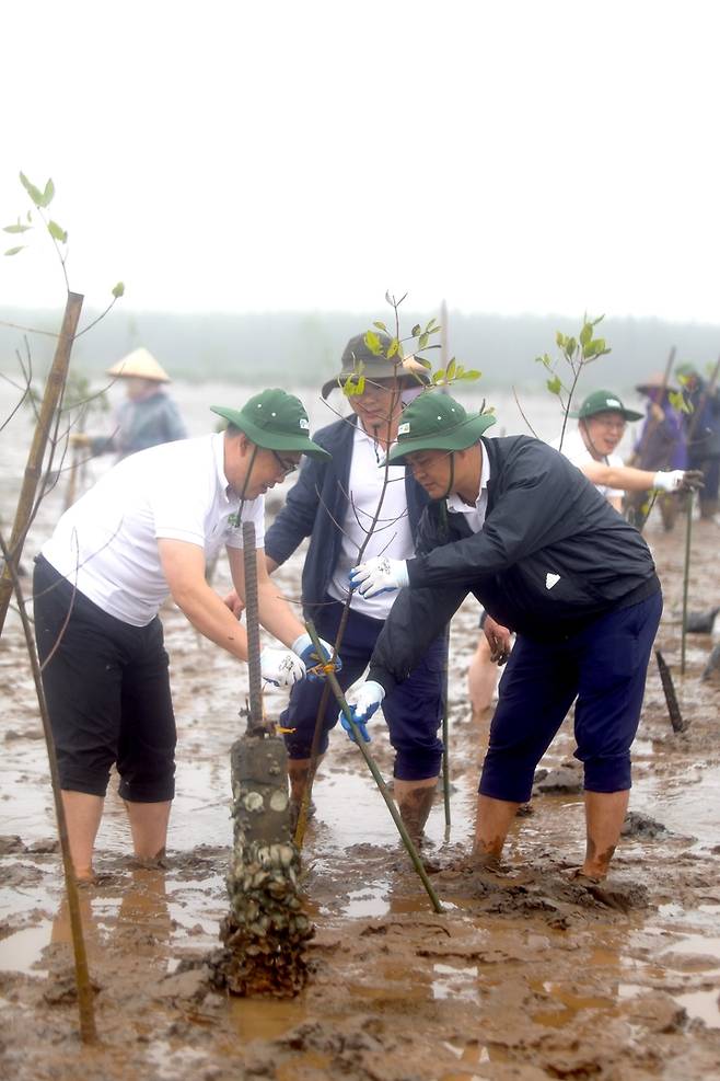 베트남에서 열린 '한-베트남 맹그로브 숲 조림' 행사 *재판매 및 DB 금지