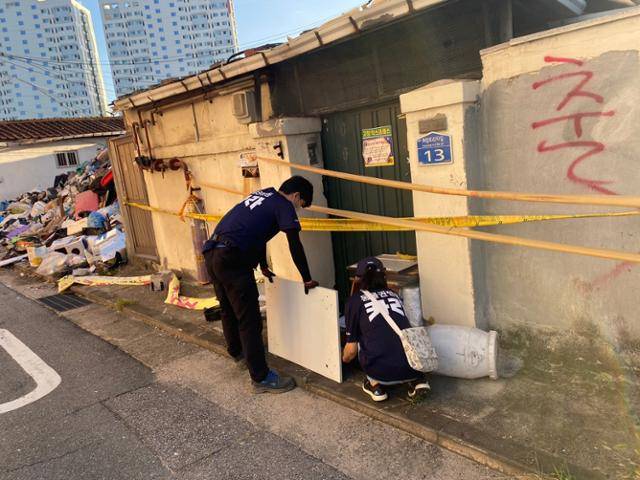 2021년 9월 서울 성북구 장위동 재개발 지역에서 동물권행동단체 카라 활동가들이 지역 고양이 중성화를 위해 포획을 시도하고 있다. 카라 제공