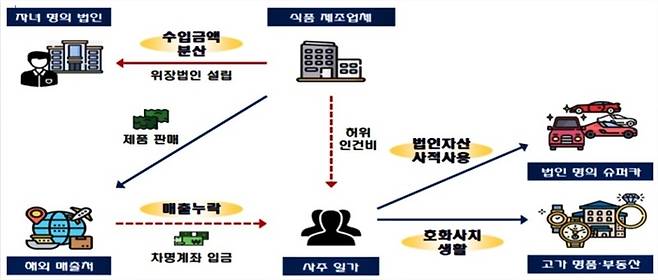 슈퍼카 꼼수 사용 적발 사례 [자료출처=국세청]