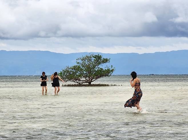 필리핀 보홀의 버진아일랜드