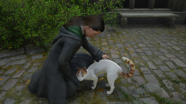 - 고양이도 쓰다듬을 수 있는 갓겜