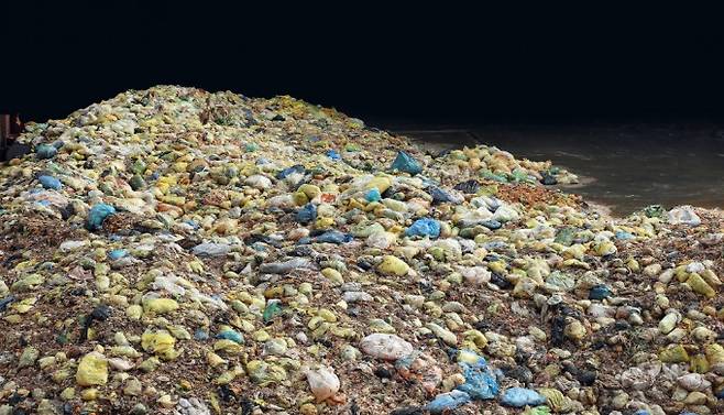 2021년, 세계자연기금(WWF)은 전 세계에서 매년 40%의 식량이 먹지 않고 버려져, 그 양이 25억t(톤)에 달하는 것으로 추정했다. 동아일보 DB