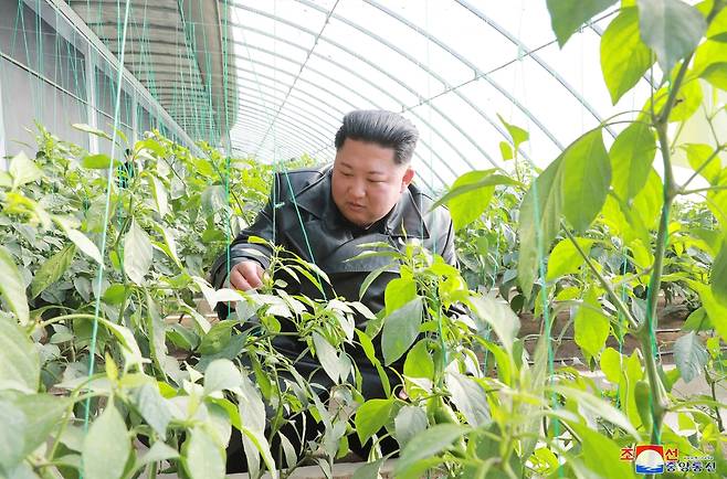 지난 2019년 중평남새온실농장을 찾은 김정은 김정은 국무위원장이 지난 2019년 12월 중평남새온실농장을 방문한 모습.  
[평양 조선중앙통신=연합뉴스. 연합뉴스 자료사진. 국내에서만 사용가능. 재배포 금지. For Use Only in the Republic of Korea. No Redistribution]
photo@yna.co.kr