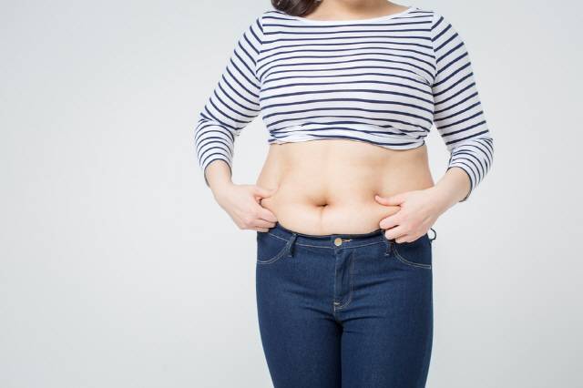 배꼽을 중심으로 윗배와 아랫배가 모두 나와 울룩불룩 접힌 모양의 배는 내방지방과 피하지방이 모두 쌓인 상태다./사진=클립아트코리아