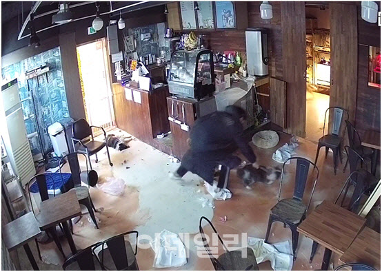 동물카페 업주가 도망가는 강아지를 망치로 때리는 CCTV 장면. (사진=서울시)