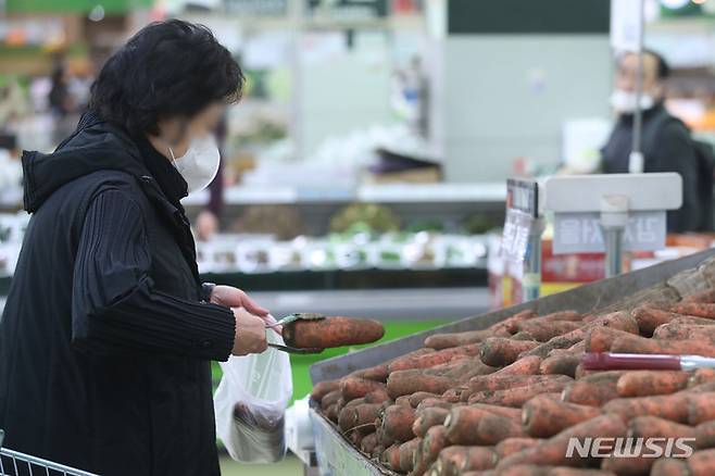 [서울=뉴시스] 권창회 기자 = 지속되는 한파와 폭설 등의 여파로 당근·대파·오이 등 채소 가격이 폭등하고 있다. 농수산식품유통공사(aT)의 농산물유통정보(KAMIS)에 따르면 30일 기준 당근 도매가와 소매가는 전년 대비 각각 137.4%, 62.7%씩 급등했다. 31일 오전 서울 시내 대형마트에서 고객이 당근을 고르고 있다. 2023.01.31. kch0523@newsis.com