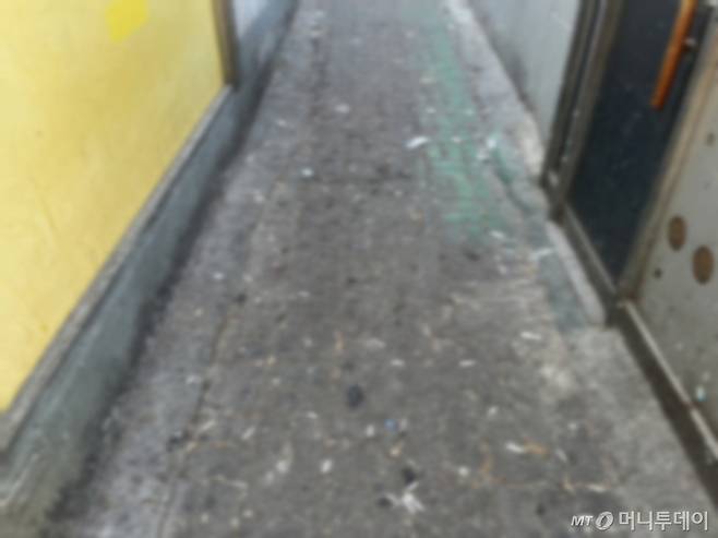 이날 오후 서울 영등포구 놀이시설 옆 골목에는 담배꽁초와 침자국이 가득하다./사진=김진석 기자