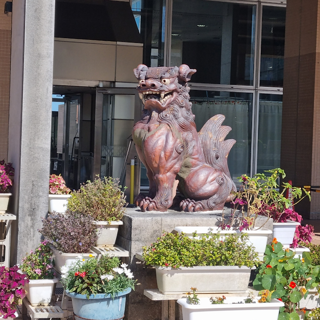 오키나와 현청 앞 시사.