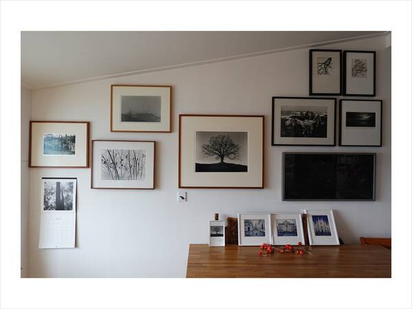 최연하 큐레이터의 자택 거실에 걸려 있던 ‘사진 컬렉션’. 맨 가운데 액자가 그가 가장 좋아하는 고향 사진으로, 오상조 작가의 ‘당산나무, 전라북도 장수군 장수읍 식천리 2008. 3’이다. 갤러리 류가헌 제공