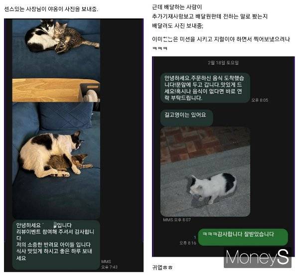 배달앱 리뷰이벤트로 '고양이 사진을 받겠다'고 말한 손님에 배달기사가 길고양이 사진을 찍어 보내 훈훈함을 자아냈다. 사진은 가게 사장이 보낸 고양이 사진(왼쪽)과 작성자가 배달기사와 주고받은 메시지. /사진=온라인 커뮤니티 캡처