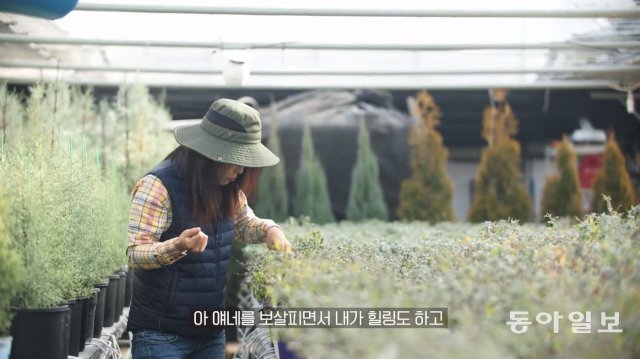 동아일보 유튜브 ‘복수자들’ 캡처.
