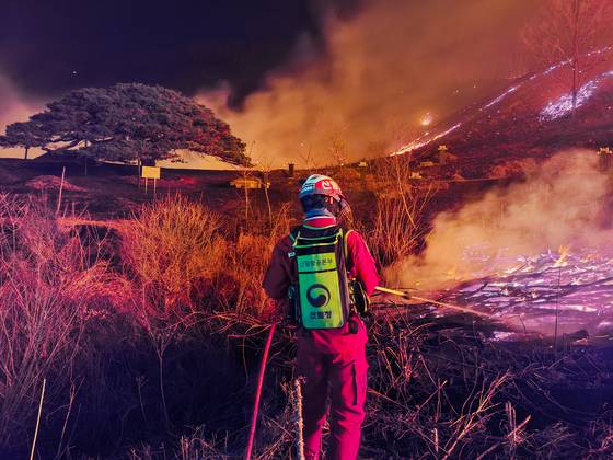 2021년 3월 23일 강원도 홍천군 화남면 산불 진화 중 보호수를 필사적으로 구한 산림항공본부 공주진화대원들. 사진 산림항공본부