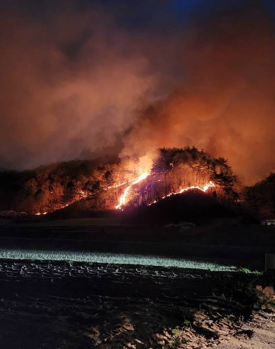 이은학 공중진화대원이 2박 3일간 진화 작업을 벌인 지난해 4월 10일 강원도 양구 산불. 이날 하루에만 21건의 산불이 전국에서 발생했다. [사진 산림청]