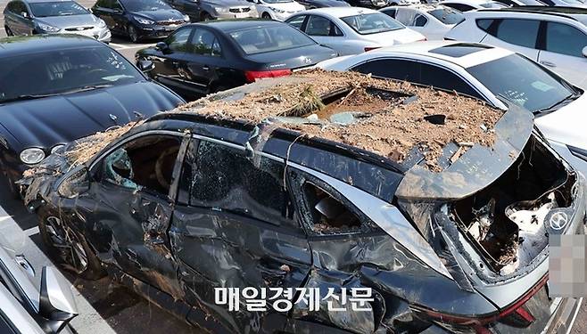 경기 과천시 서울대공원 주차장에 침수 차량이 집결해 있다. 2022.8.12 [사진=한주형 기자]