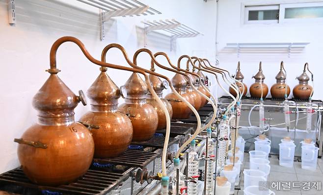 지난 23일 서울 마포구 삼해소주 본사에서 전통 방식으로 술을 빚는 모습. 임세준 기자.