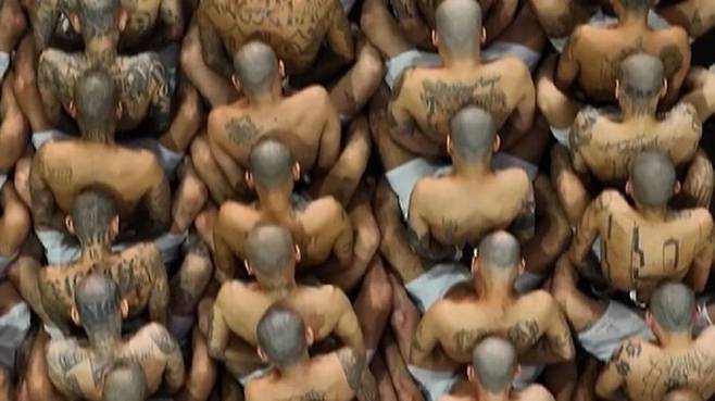 엘살바도르 최대 감옥에 이감된 갱단원들 (사진=나이브 부켈레 엘살바도르 대통령 트위터 캡처, 연합뉴스)