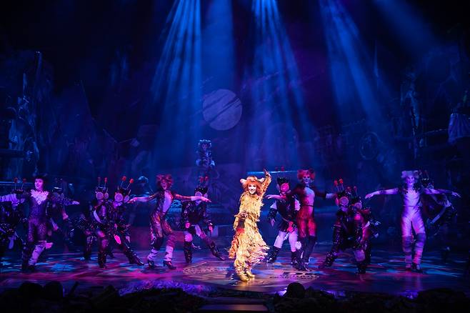 낮에는 내내 앉아만 있어 게을러 보이지만, 밤만 되면 아기 고양이를 교육하느라 바쁜 ‘어머니 같은 존재’인 제니애니닷. [에스앤코 제공]