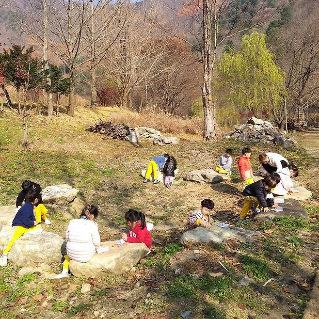 초등학교 학생들이 가평 연인산도립공원의 숲 체험 교육프로그램 ‘꽃들의 소원’참석해 교육을 받고 있다.ⓒ사진=경기도 제공