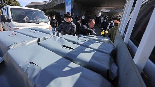 제주도 세계유산센터로 옮겨진 마라도 고양이들