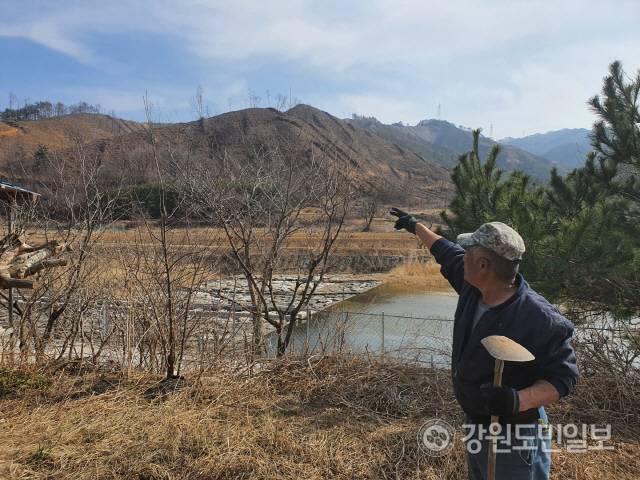 ▲ 강릉시 옥계면 남양리 주민이 집 주변 산불 피해지를 가리키며 안타까워 하고 있다.