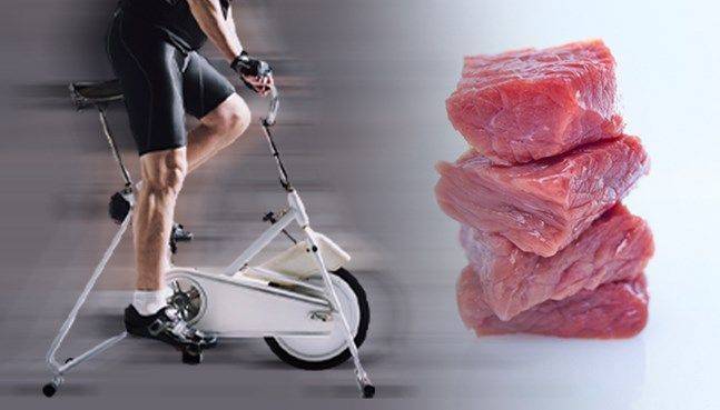 ⓒ데일리안 박진희 디자이너