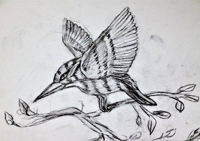 동물 세밀화를 보면서 그린 9세 아동의 그림. 세밀한 일러스트의 동식물 그림책은 교육적 효과가 높다.