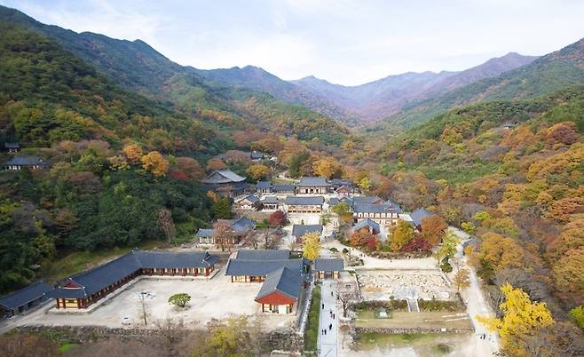 구례 화엄사 드론샷. 사진제공|구례군청.