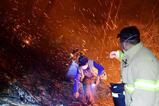 11일 오후 경남 하동군 화개면 대성리 일원에서 산불이 발생했다. 현장 인근에 거주하던 주민들이 산불을 피해 대피하고 있다. /뉴시스