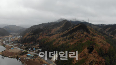 덕구군립공원 주변의 산불 2차 피해예방 및 생활권복원 대상지 전경. (사진=산림청 제공)