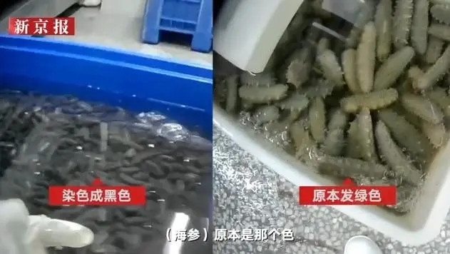 중국 수산물 가공업체 살균제로 해삼 세척 [신경보 캡처]