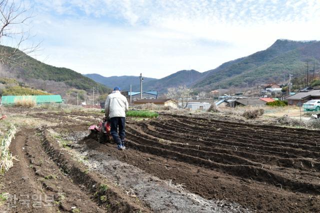 한 농민이 지난 14일 대구 달성군 가창면 우록리 감자밭에서 밭을 갈고 있다. 류수현 기자