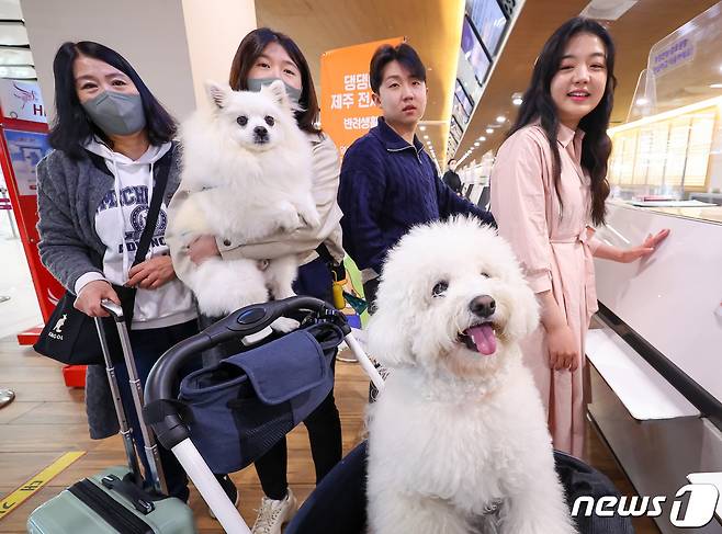 16일 오전 서울 김포공항 국내선 청사에서 탑승객들이 반려견과 함께 ‘댕댕이 제주 전세기’ 탑승 수속을 하고 있다. (공동취재) 2023.3.16/뉴스1 ⓒ News1 임세영 기자