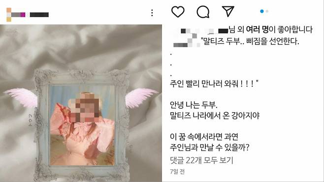 일본의 '메이드 카페'가 국내에도 문을 열었다. 지난 15일 서울 마포구 성산동에 문을 연 해당 카페는 개점 전부터 사전 예약이 마감될 만큼 인기를 끌고 있다. 그러나 일각에선 메이드 카페 운영 지침 등을 이유로 여성을 성상품화한다는 우려도 나온다. /사진=인스타그램
