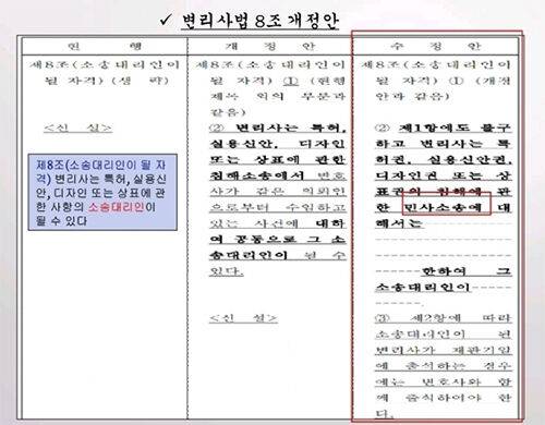 변리사의 특허침해소송 공동대리 허용 변리사법 개정안
