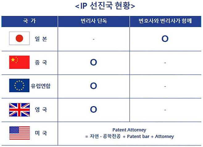 외국의 특허침해소송 대리 허용 현황