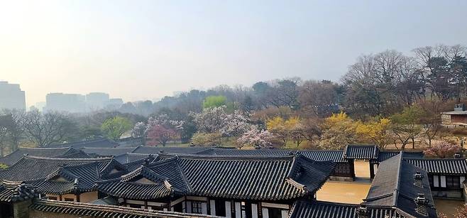 낙선재 후원에서 바라본 풍경 [문화재청 제공. 재판매 및 DB 금지]