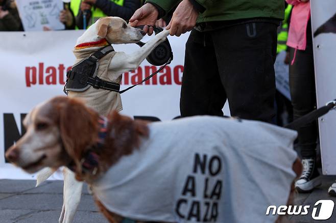 스페인 수도 마드리드에서 동물 복지를 위한 집회가 벌어지고 있다. 2023.2.5 ⓒ 로이터=뉴스1 ⓒ News1 정윤미 기자
